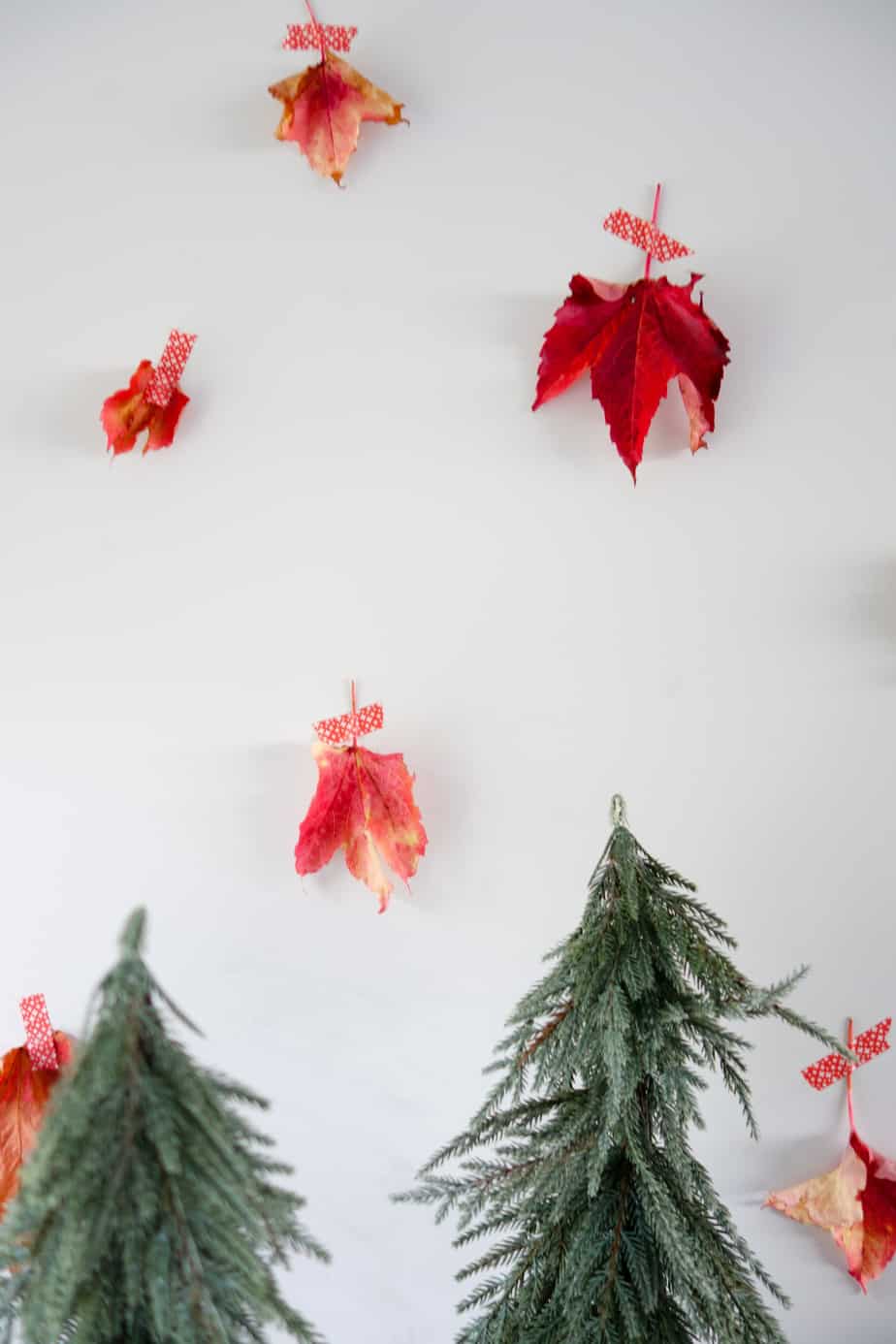 100 canada christmas tree ge 7 5 ft pre lit alaskan 100 canada christmas tree ge 7 5 ft pre lit alaskan